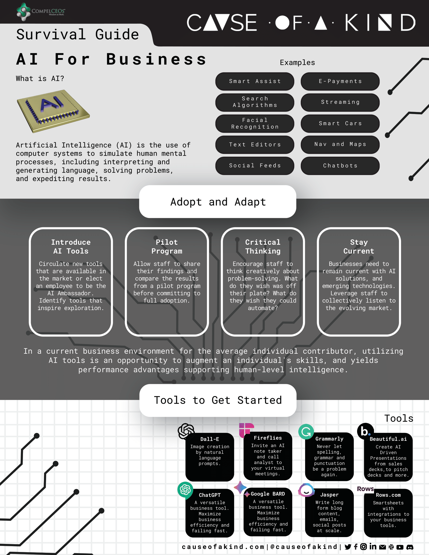 AI Survival Guide New FINAL-1