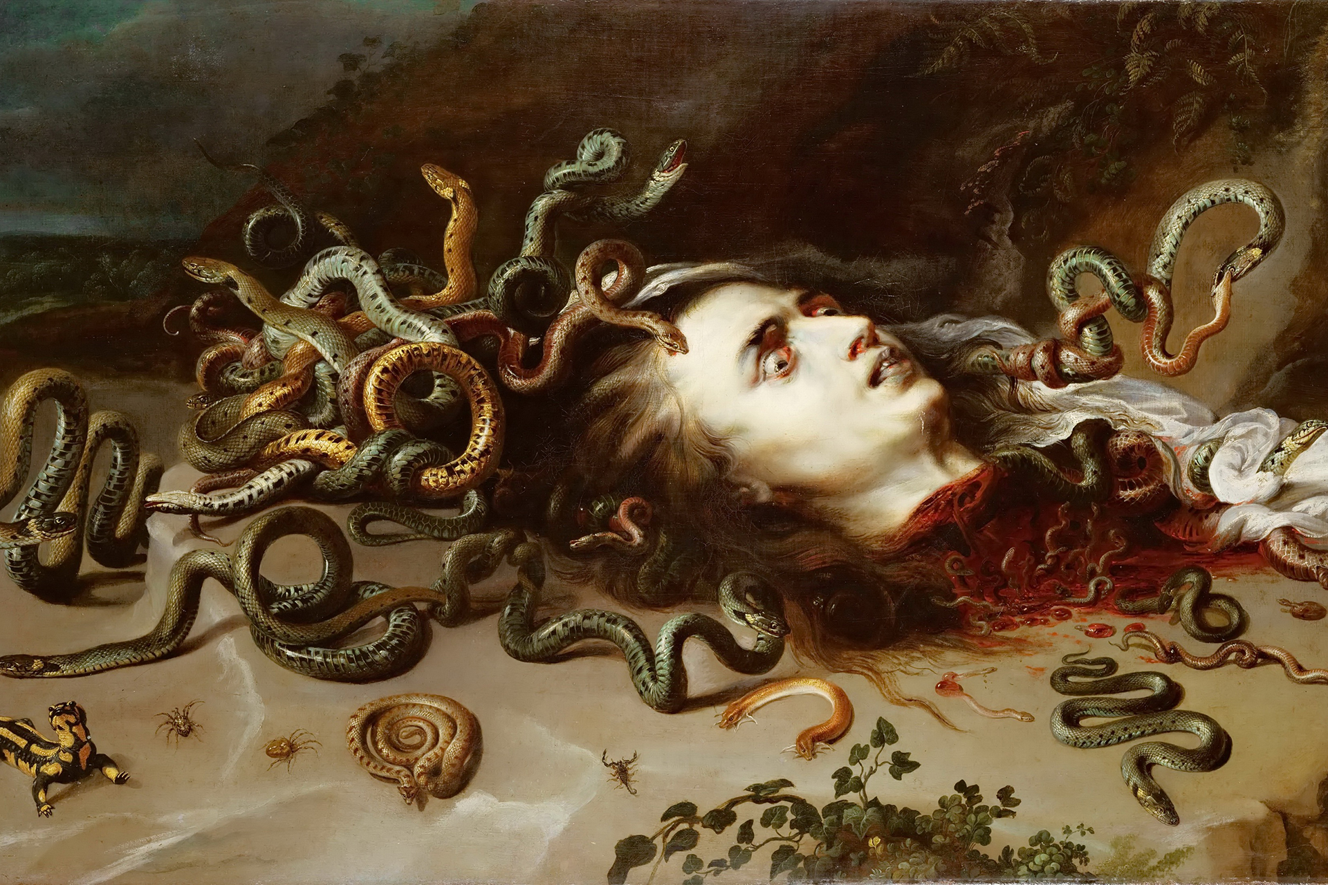 Medusa Greek Myth: The Fascinating Story of the Snake-Haired Gorgon -  ConnollyCove