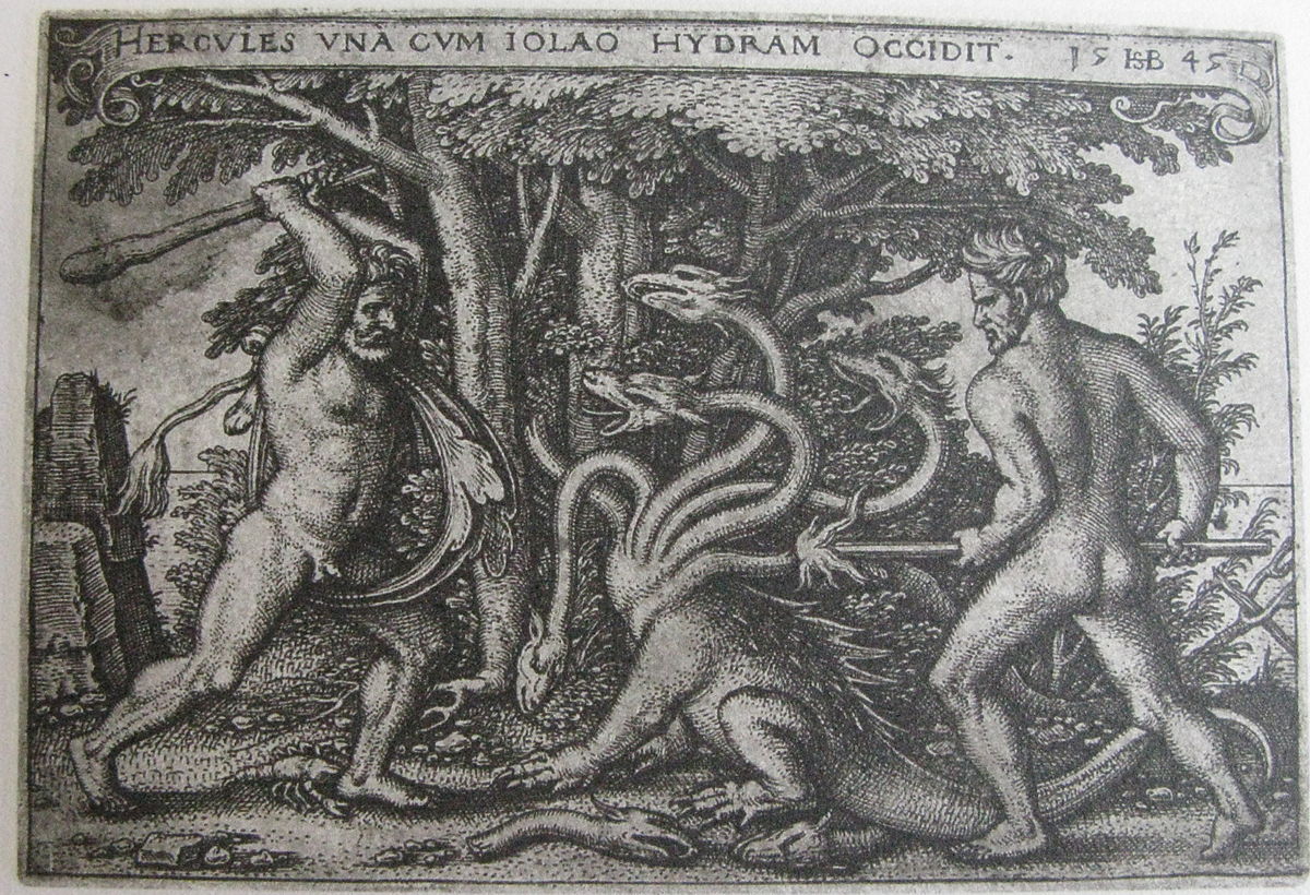 Lernaean Hydra in Greek Mythology  Origin & Development - Lesson