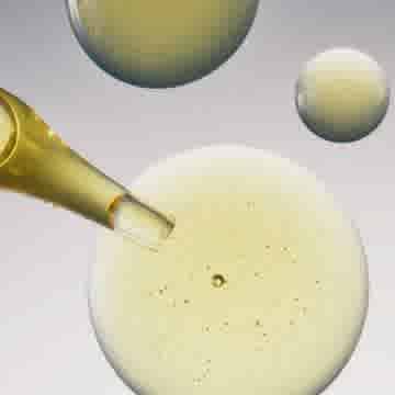 3. SERUM