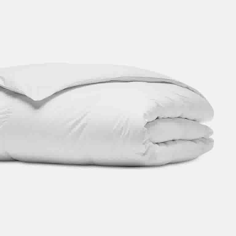 Comforters & Duvet Inserts