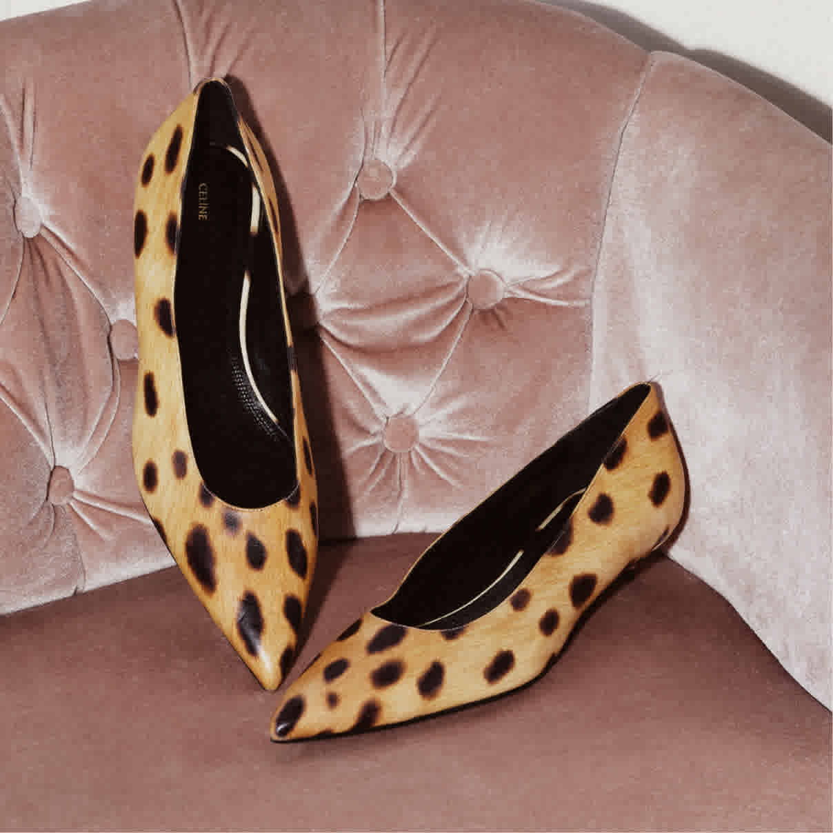 Celine