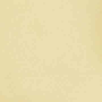 The Bridesmaids Palette - Yellow Dresses