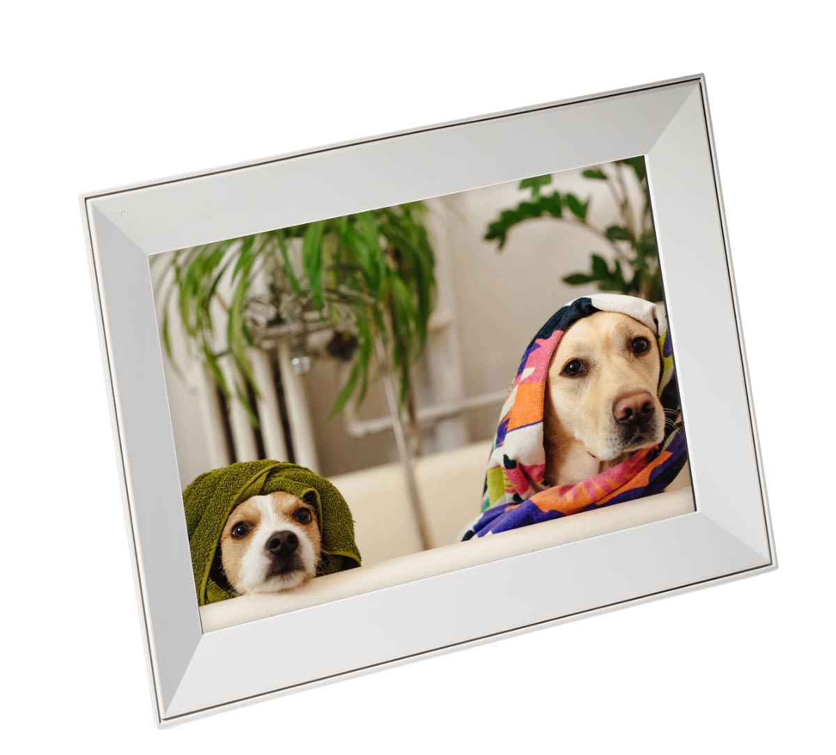 AURA BUDDY BY AURA DIGITAL PICTURE FRAME