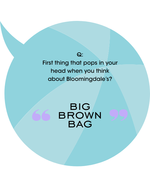 Big Brown Bag