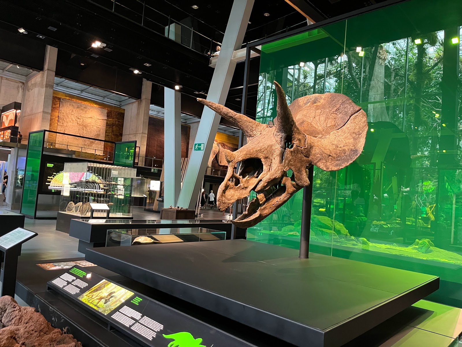 Museo de la Ciencia CosmoCaixa