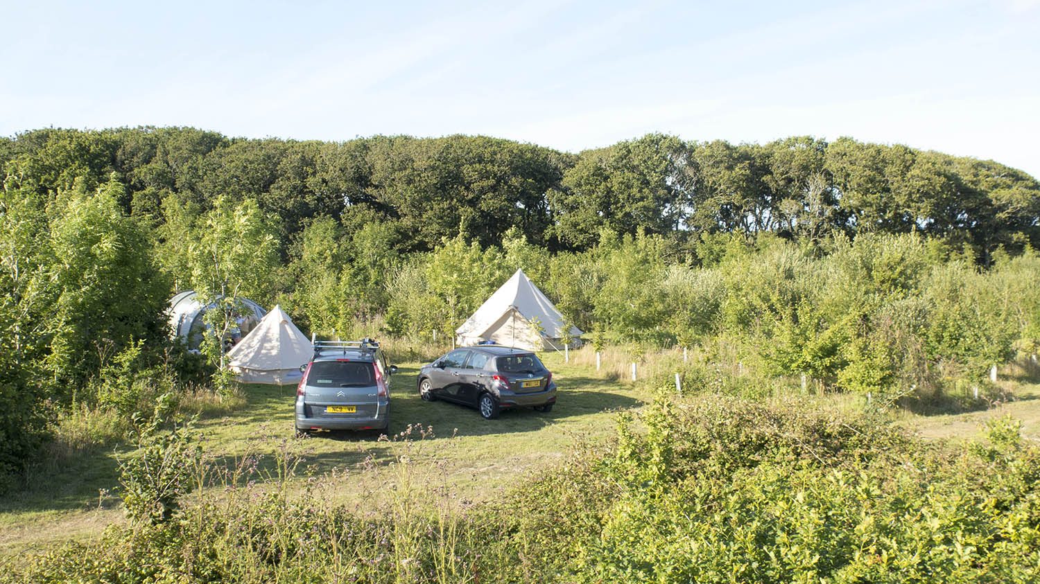 Camp Wight near Yarmouth on the Isle of Wight offers glamping and hammock camping options