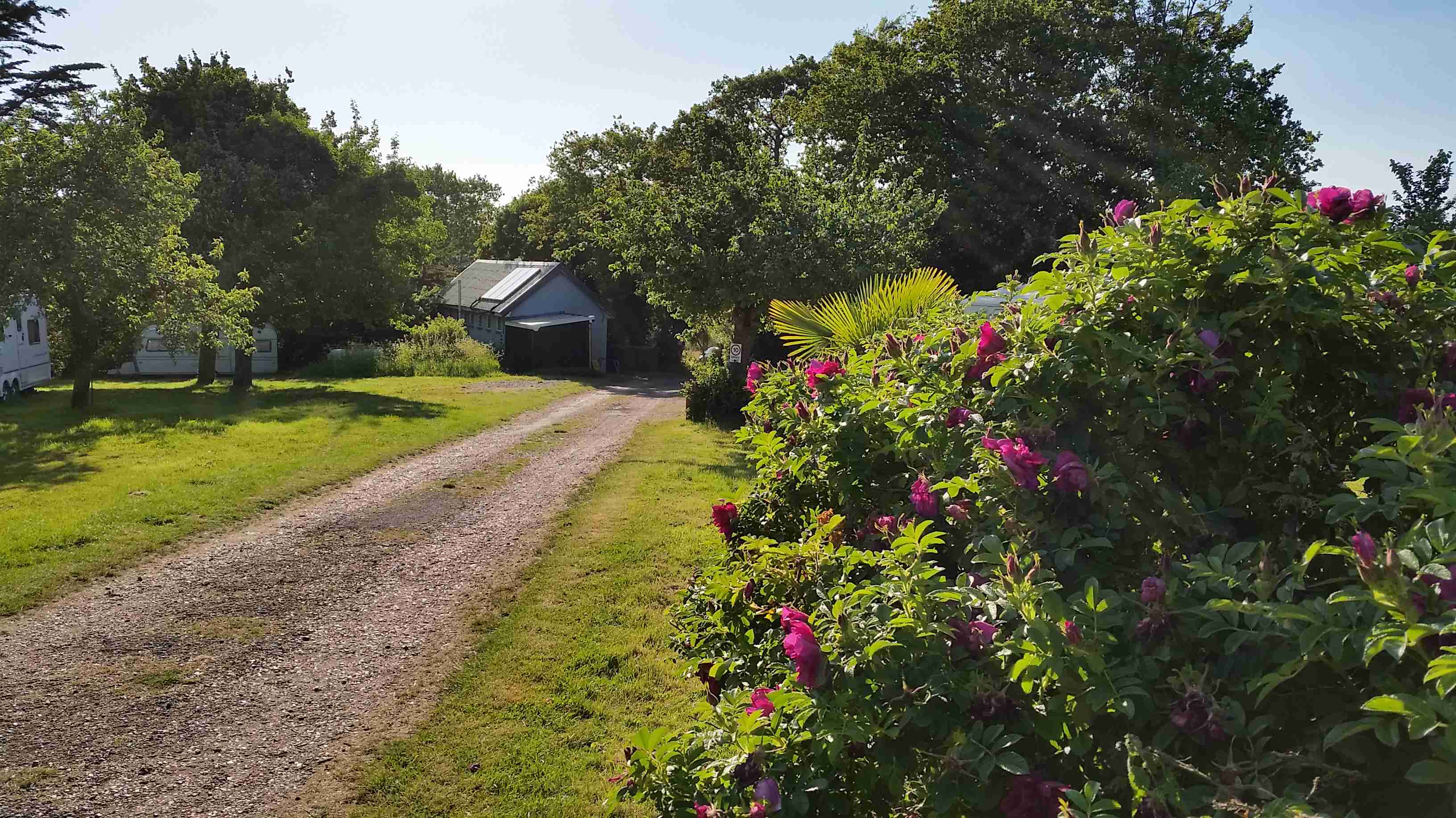 The comforts farm driveway on the Isle of Wight