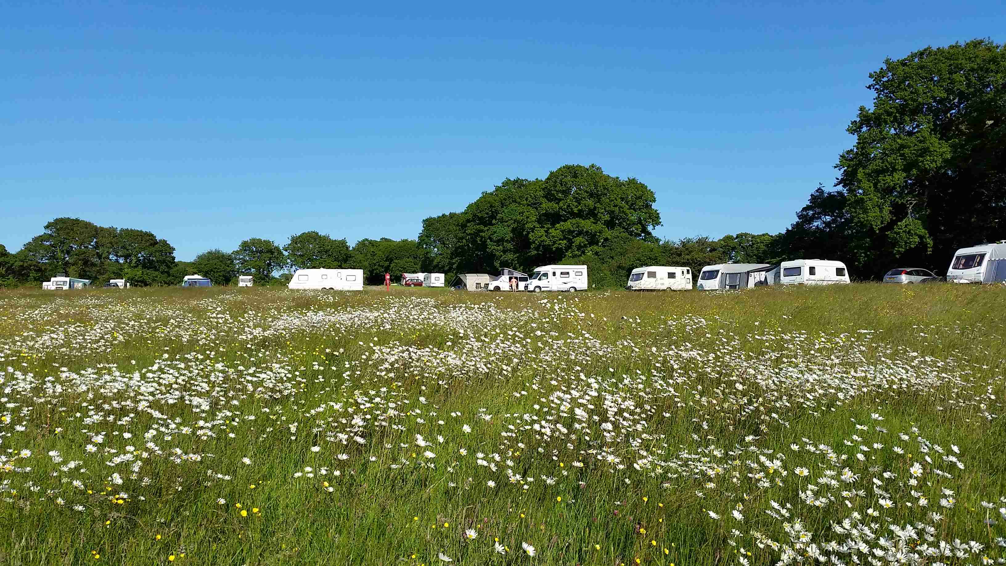 The comforts farm meadow near cowes