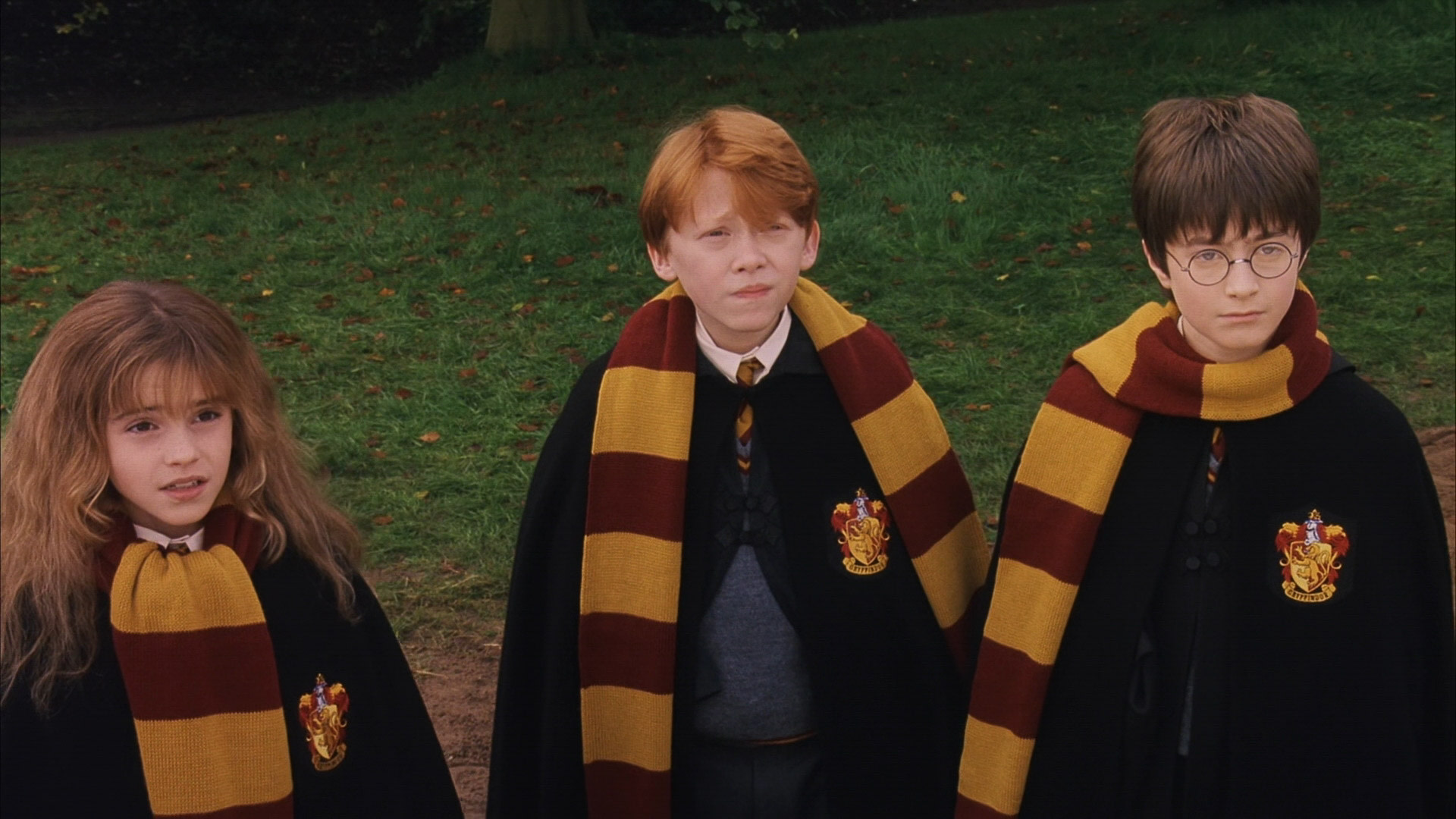 Harry Potter and the Sorcerer's Stone: A