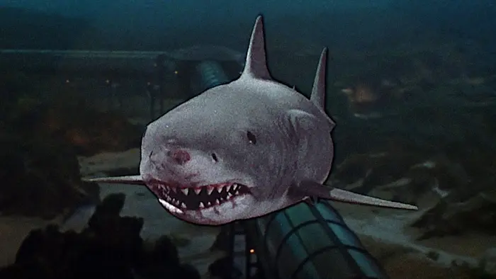 Jaws 3-D in 3D