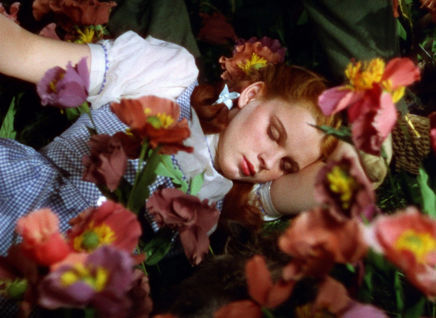 Calm Morning: The Wizard of Oz