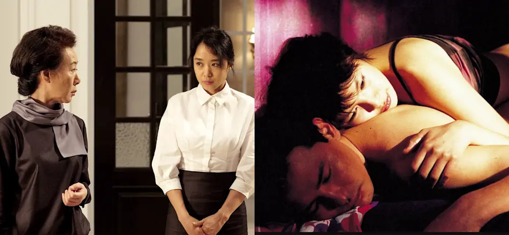The Housemaid with A Good Lawyer’s Wife