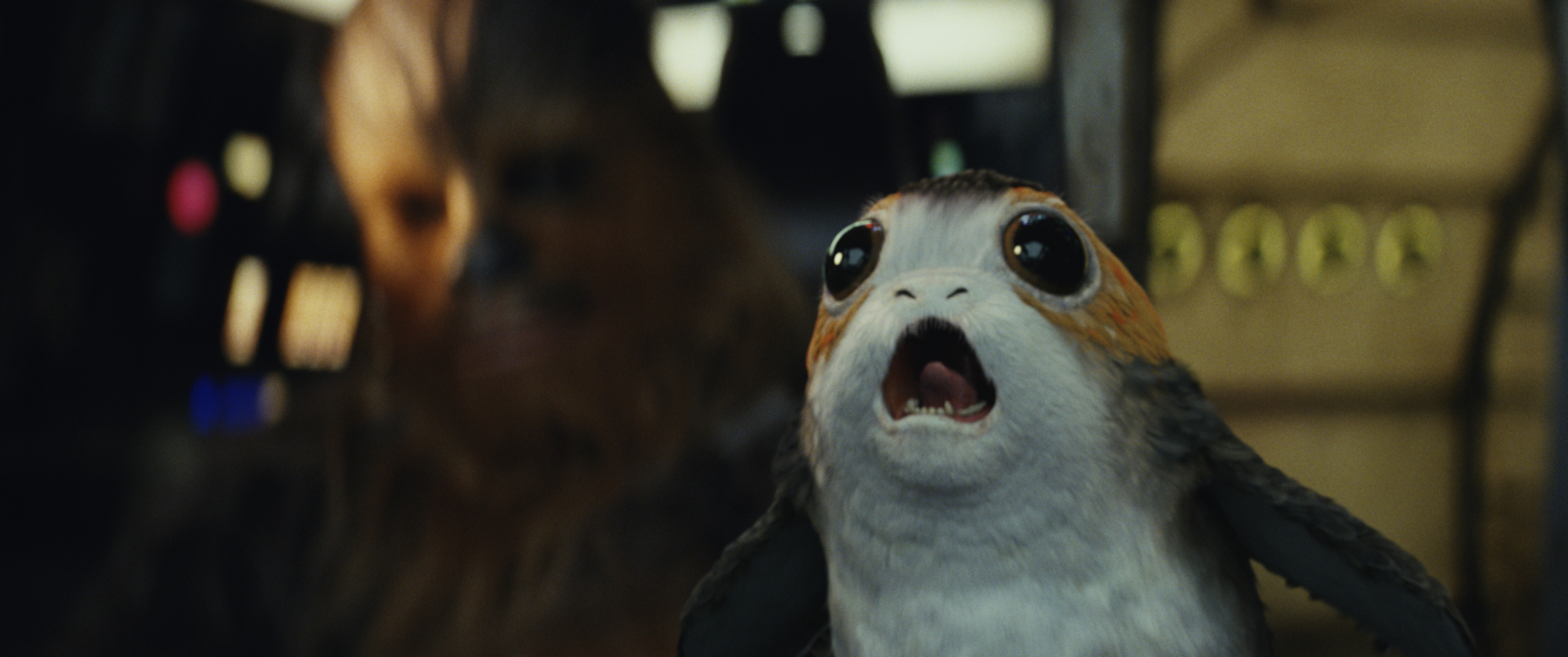 Porg from Star Wars: The Last Jedi (USA, 2017)