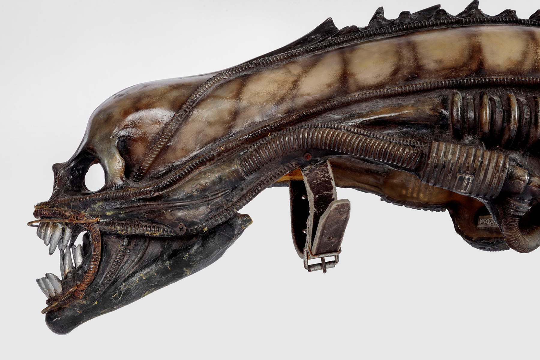 Extraterrestrial headpiece worn in <i>Alien</i> (1979).  Academy Museum of Motion Pictures. Photo by Joshua White, JWPictures/©Academy Museum Foundation