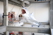 Sole Surviving Full scale Model Of The Shark From Jaws 1975 