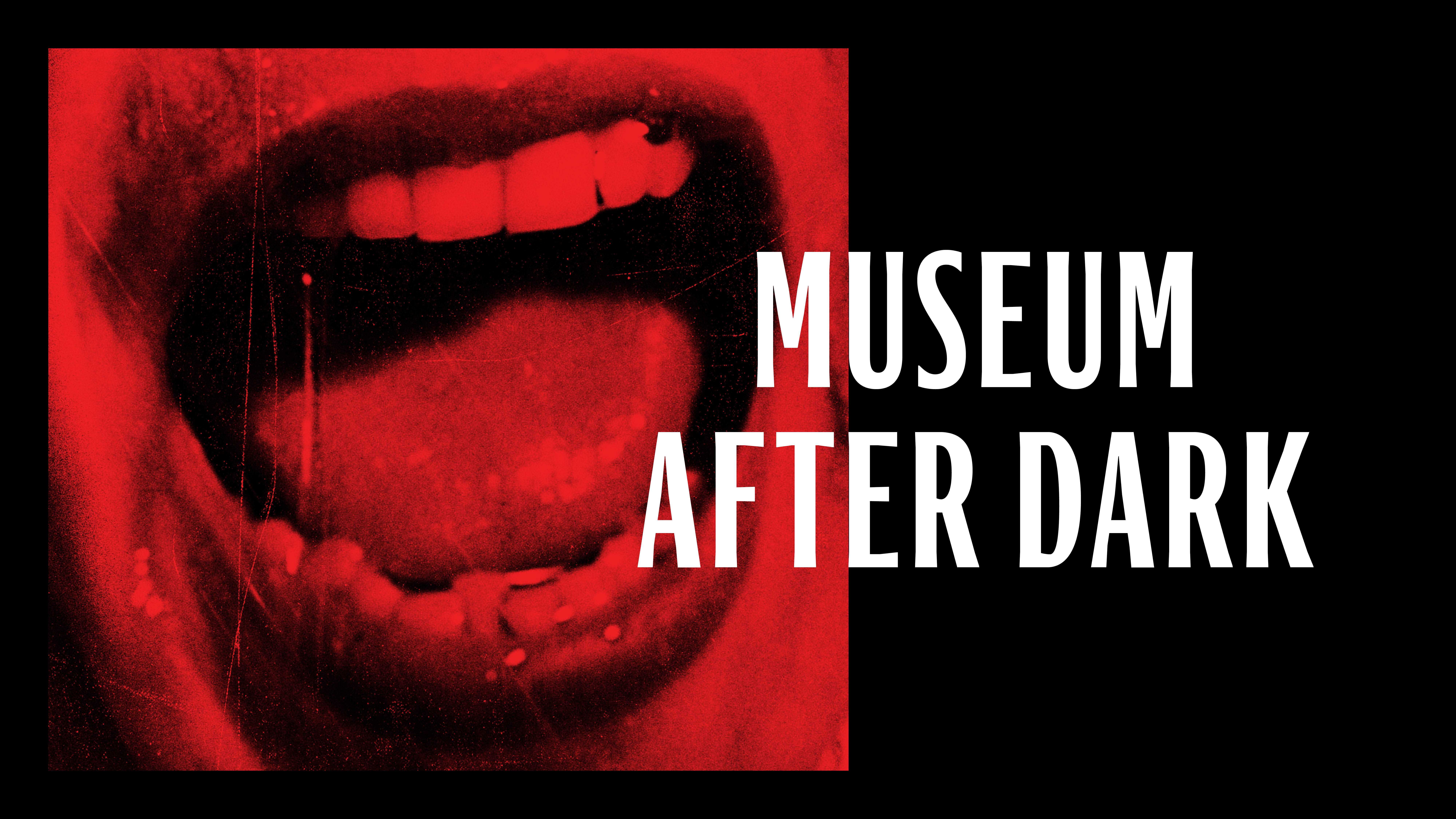 Museum After Dark