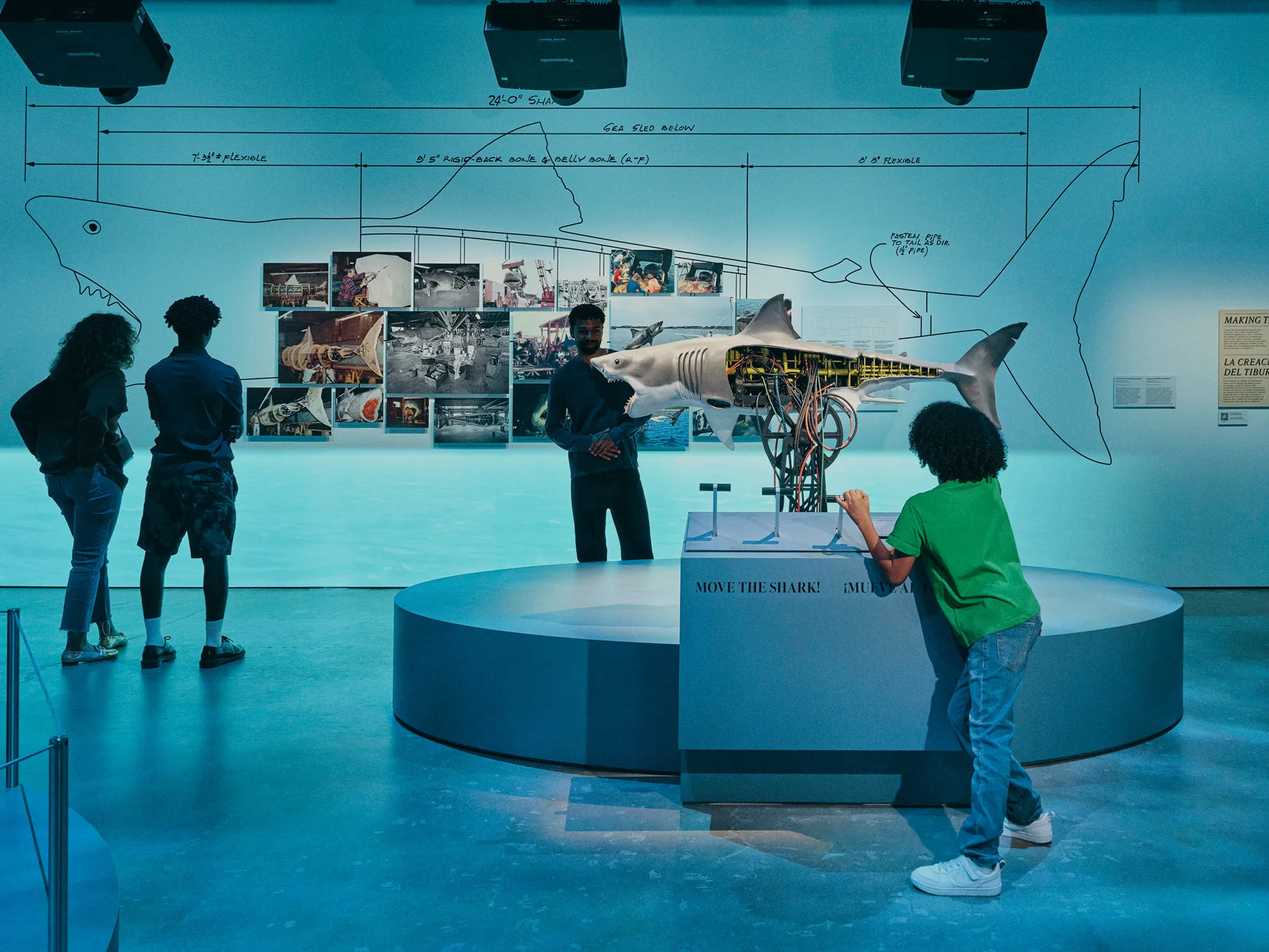 Jaws: The Exhibition