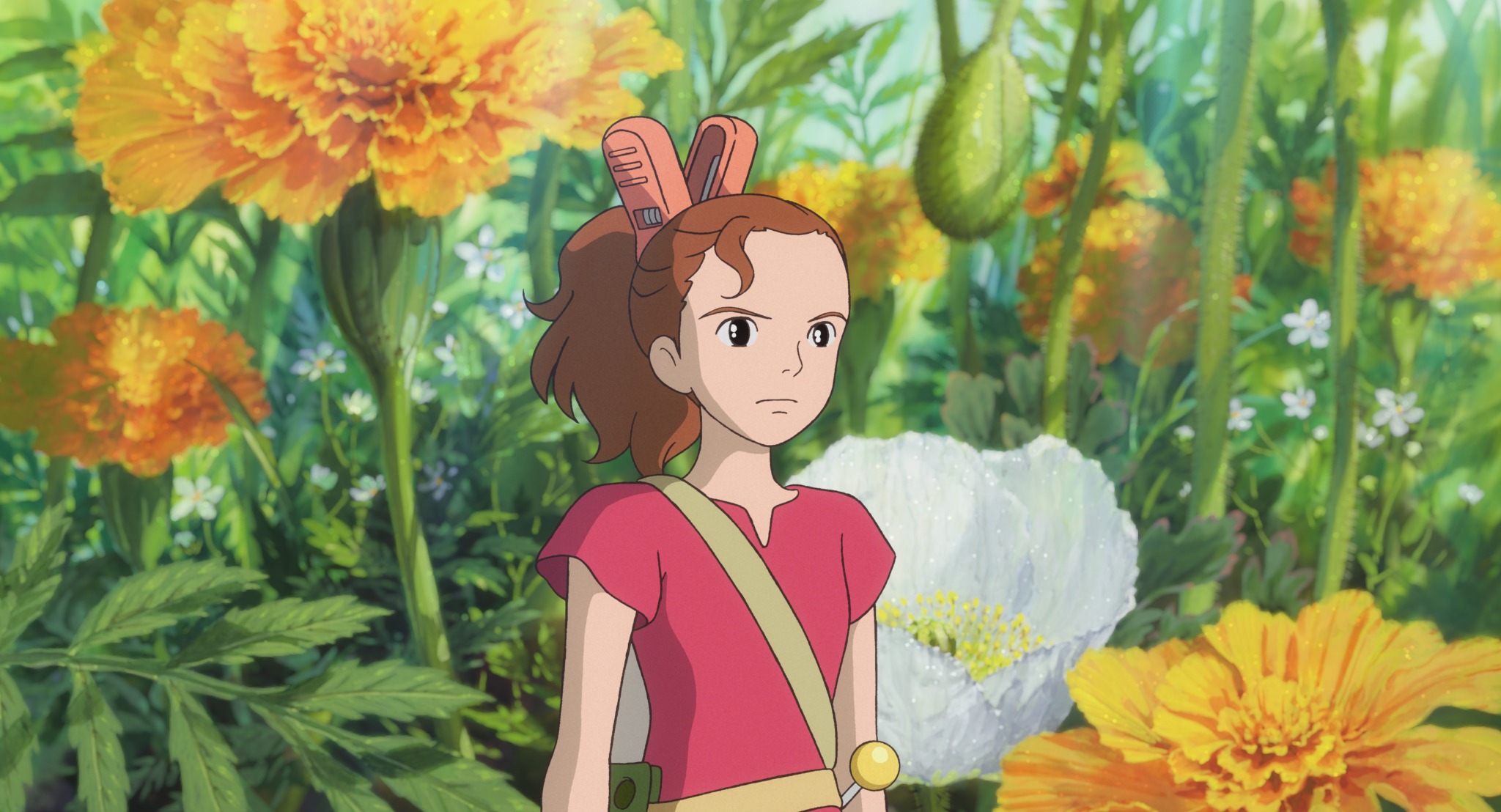 The World of Studio Ghibli =