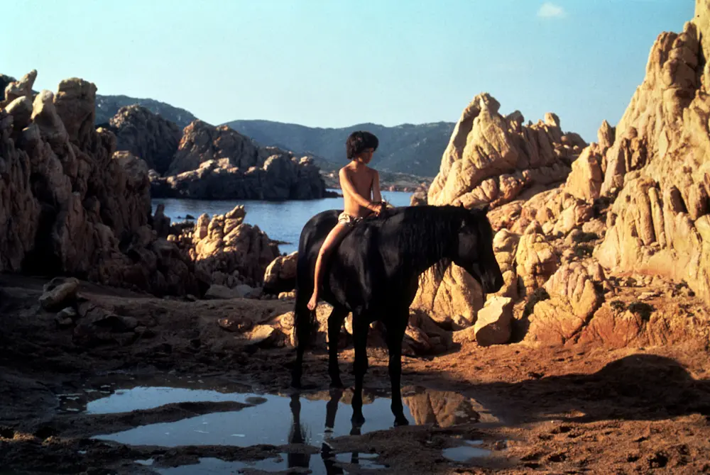 The Black Stallion in 35mm 