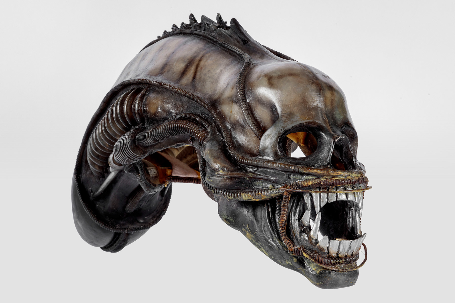 Extraterrestrial headpiece worn in <i>Alien</i> (1979).  Academy Museum of Motion Pictures. Photo by Joshua White, JWPictures/©Academy Museum Foundation