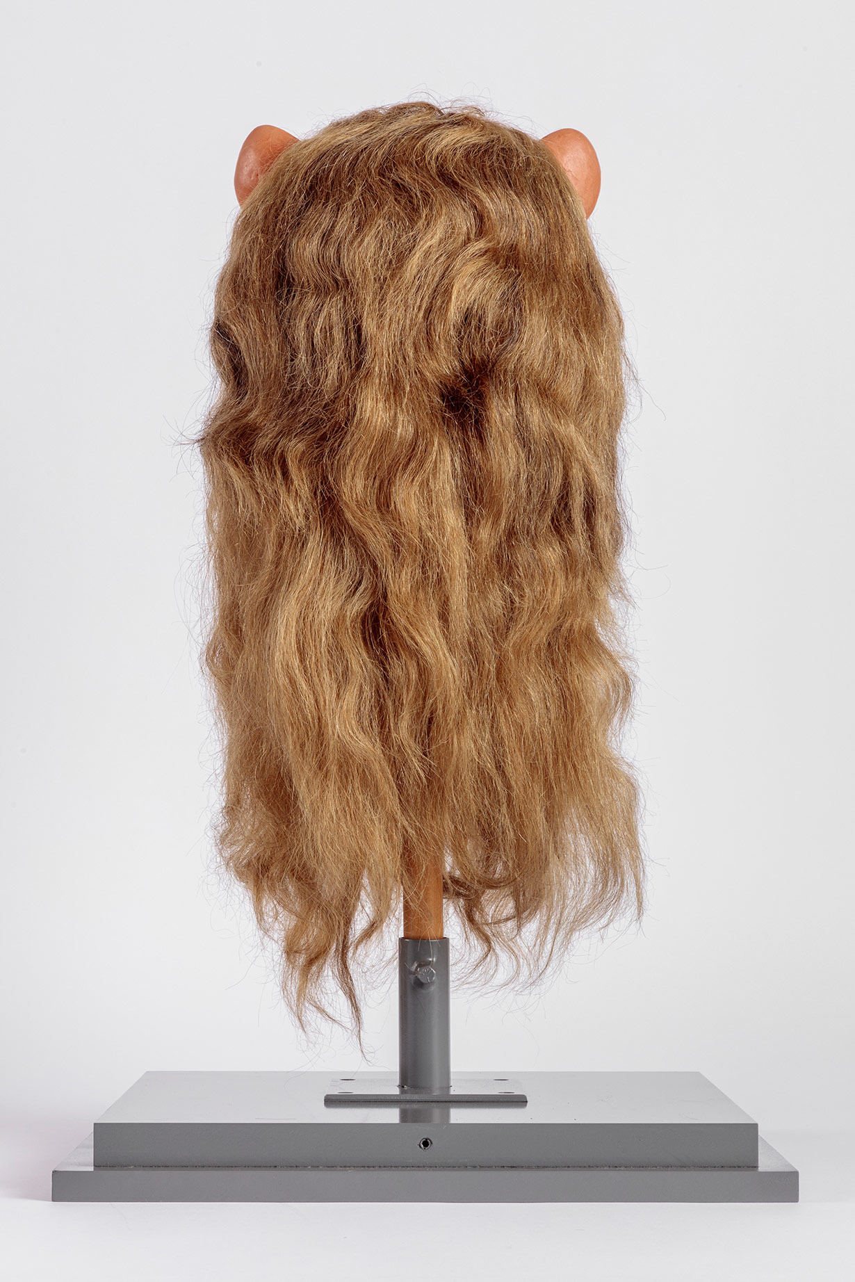 The Cowardly Lion's Mane worn by Bert Lahr in <i>The Wizard of Oz</i> (1939). Academy of Motion Picture Arts and Sciences, Margaret Herrick Library. Photo by Joshua White, JWPictures/©Academy Museum Foundation