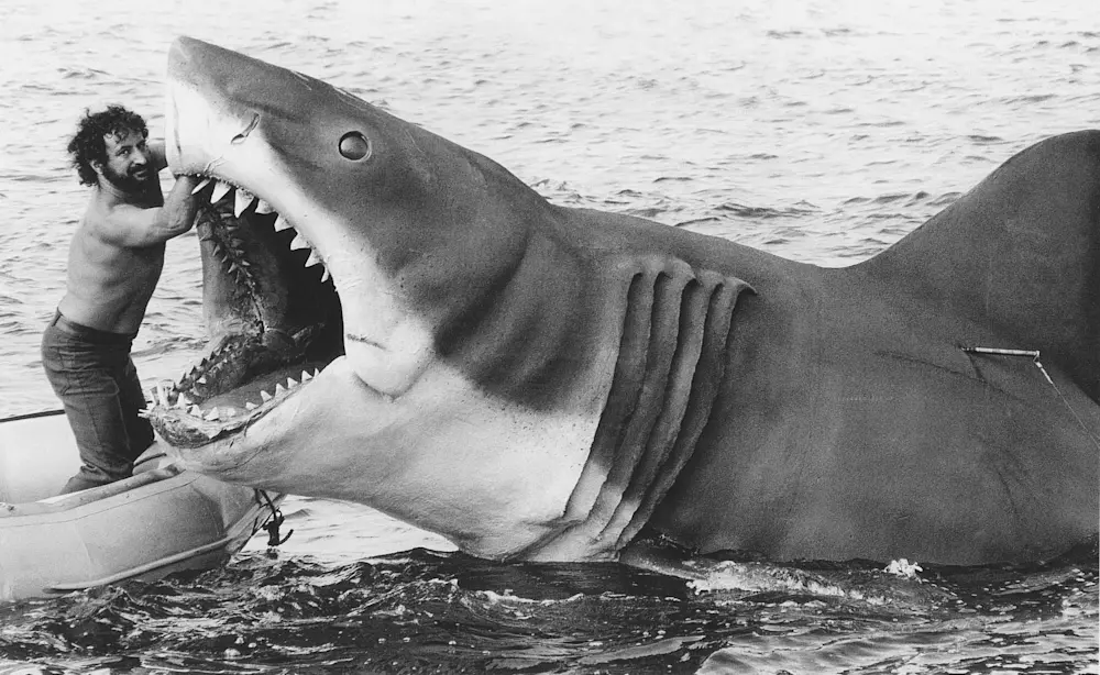 Designing Jaws