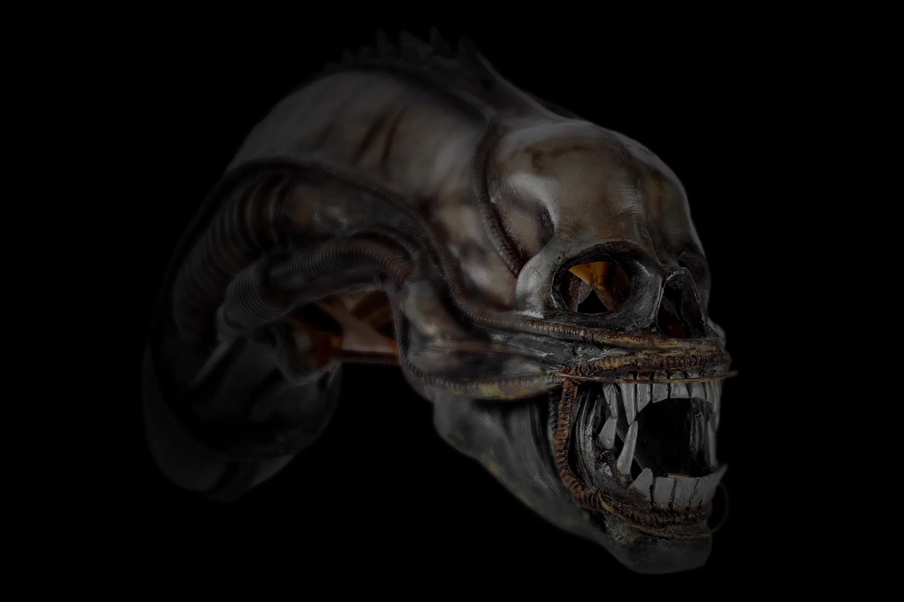 Extraterrestrial headpiece