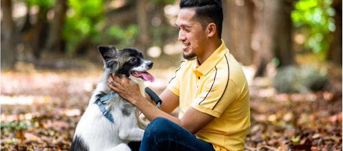 Man stroking a dog outdoors