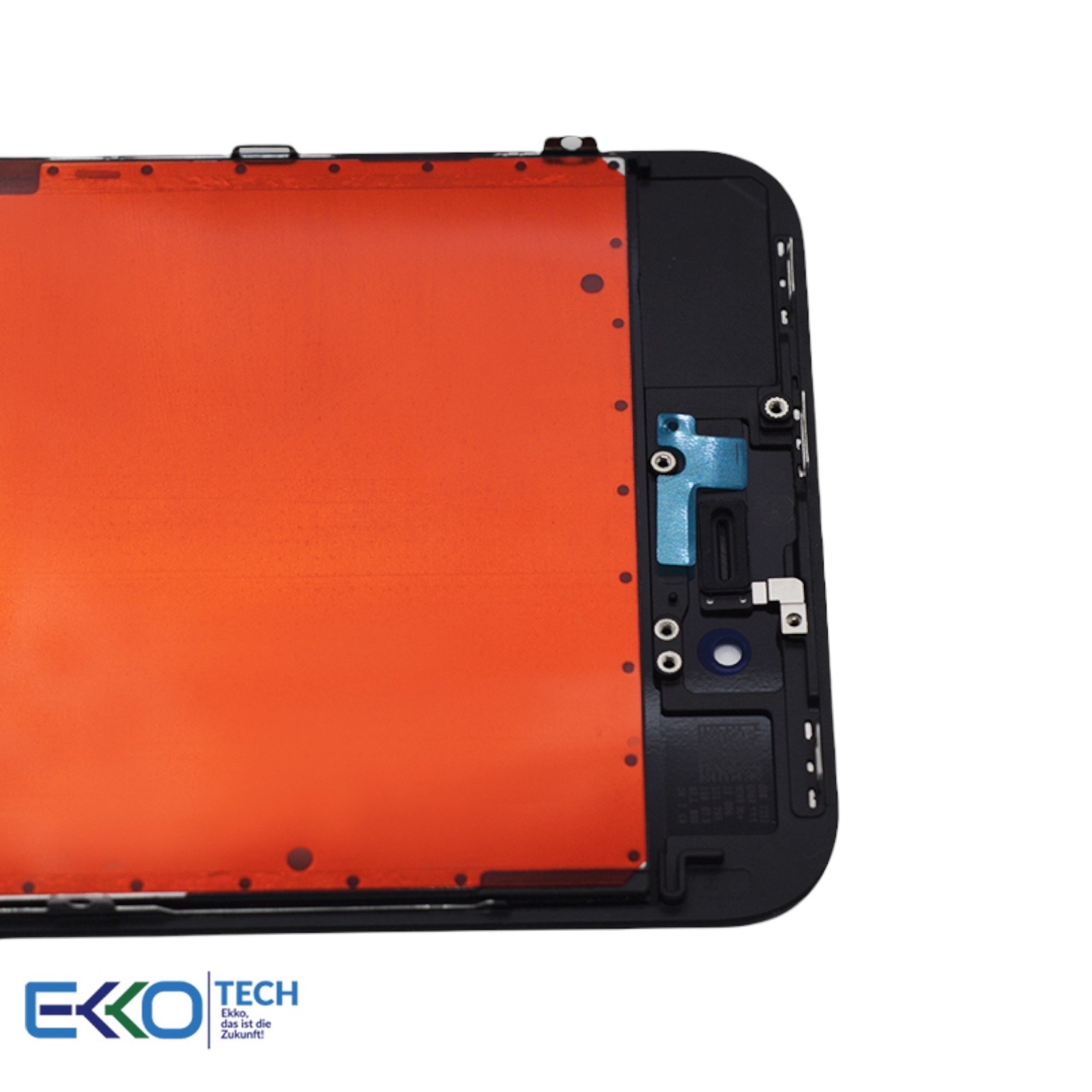 PhotoRoom 20211207 192728