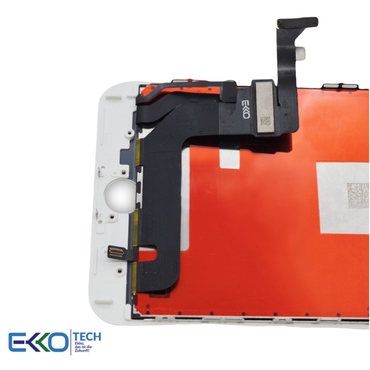 PhotoRoom 20211120 093845