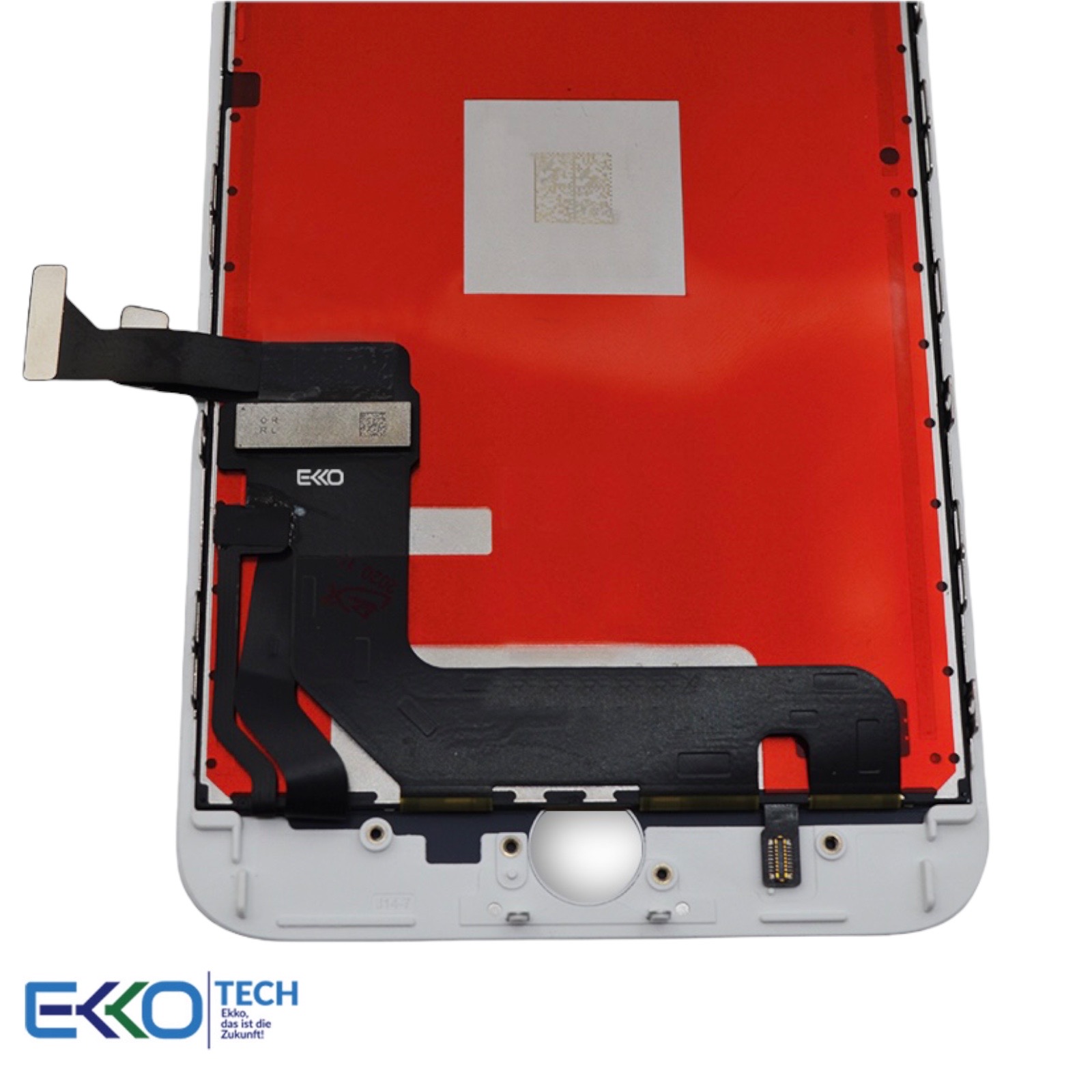 PhotoRoom 20211207 205414