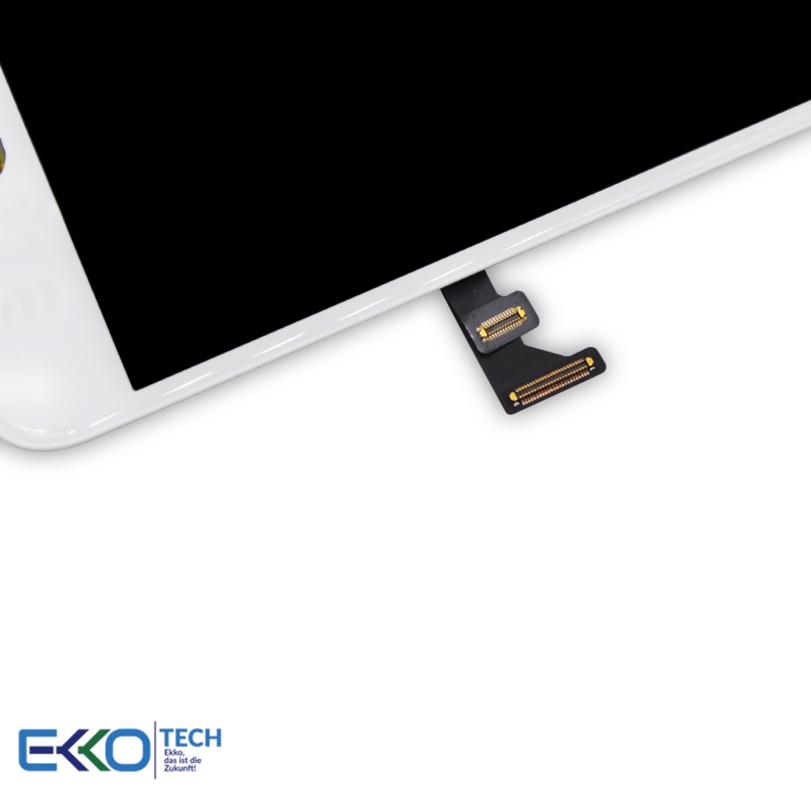 PhotoRoom 20211207 205316