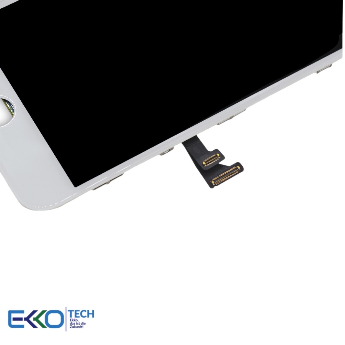 PhotoRoom 20211120 093715