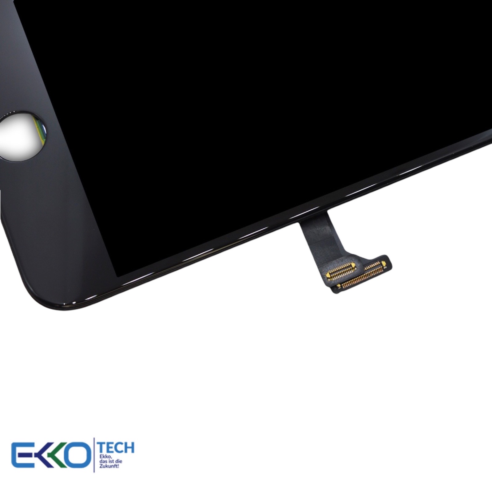 PhotoRoom 20211207 192843