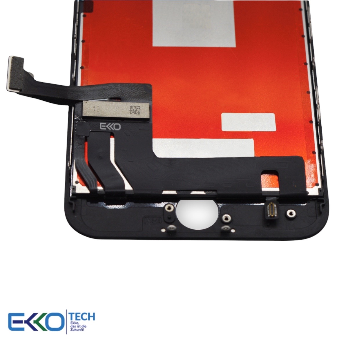 PhotoRoom 20211122 105109