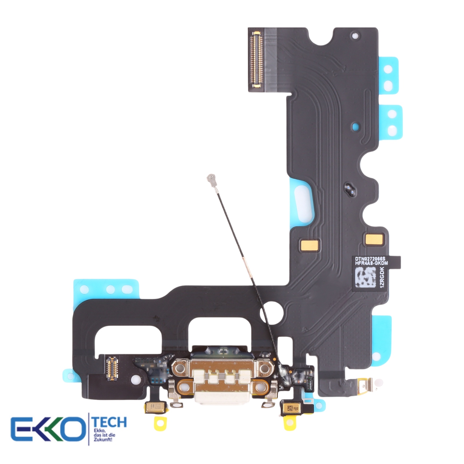 PhotoRoom 20211104 102505