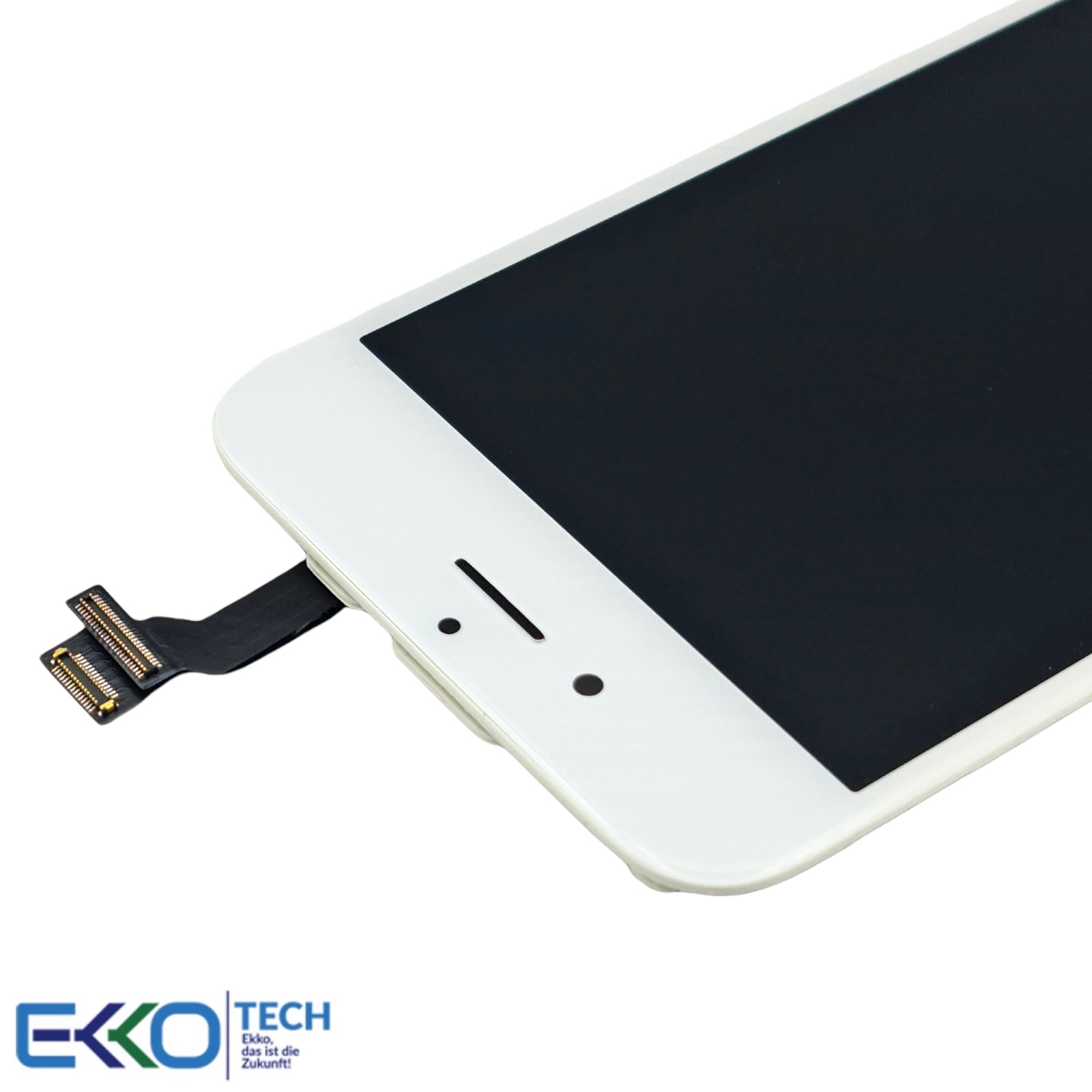 PhotoRoom 20211025 182034