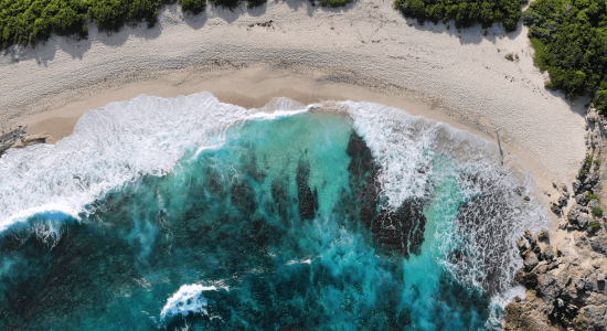 anse-des-chateaux-guadeloupe-beach