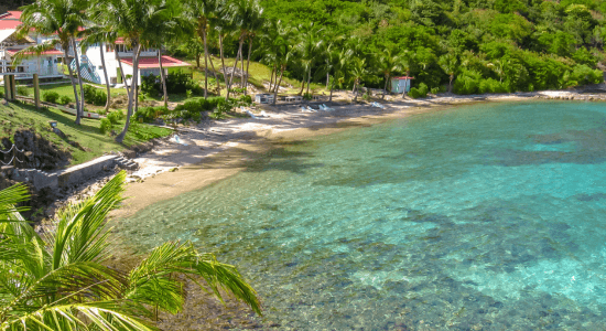 pain-de-sucre-terre-de-haut-guadeloupe