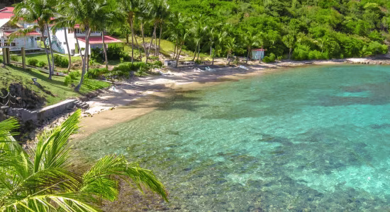 pain-de-sucre-terre-de-haut-guadeloupe