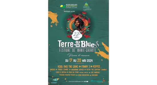 flyer-festival-terre-de-blues-marie-galante-guadeloupe