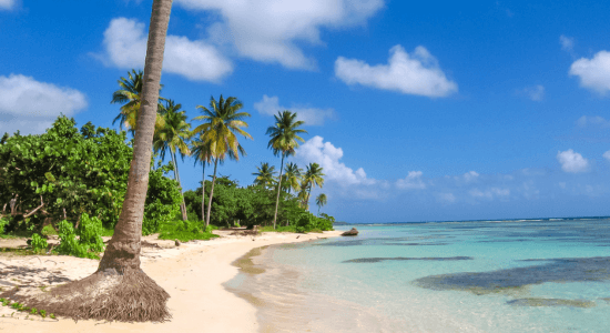 sainte-anne-guadeloupe