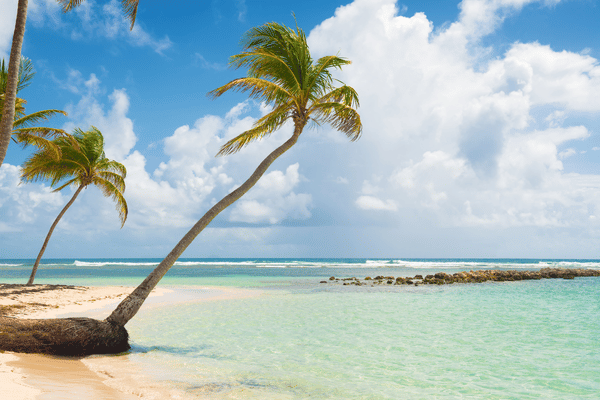plage de la caravelle guadeloupe 600 400