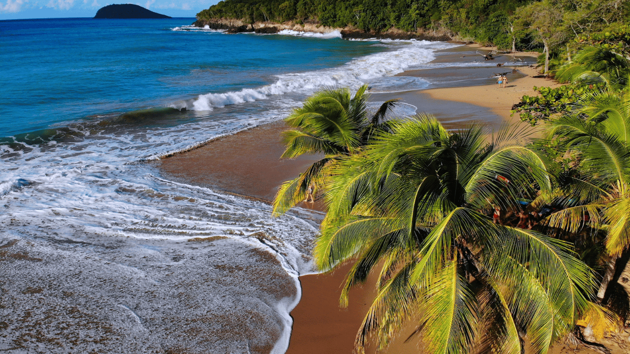 plage de la perle location voiture guadeloupe canva pro