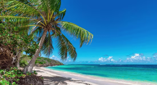 Cote guadeloupe europcar