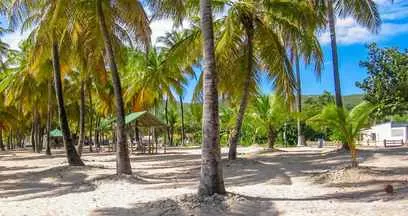 sable plage tropical europcar guadeloupe