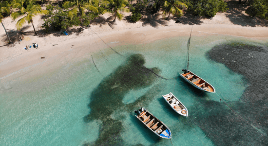 gosier-petit-havre-guadeloupe