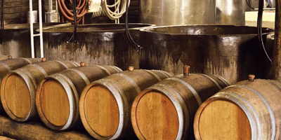 Découvrir les distilleries de rhum location de voiture guadeloupe canva pro 400 200