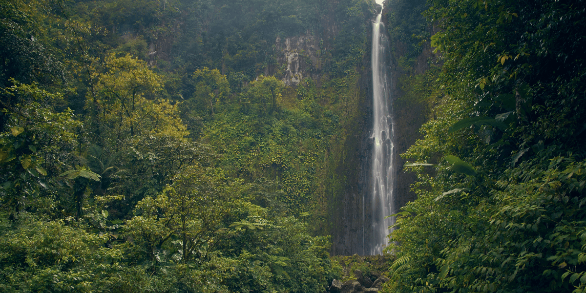 chutes du carbet capesterre location voiture en guadeloupe  canva pro 1200x600